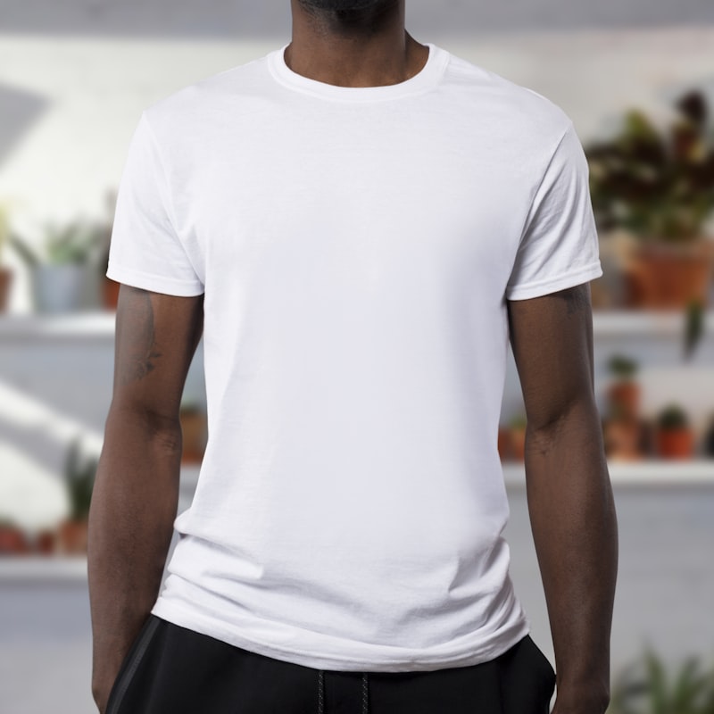 Bella+Canvas Unisex T-shirt (B2000)